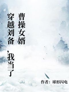 穿越刘备，我当了曹操女婿小说百度云完整章节列表免费阅读