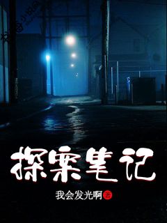完整版《探案笔记》梁新姜河小说免费在线阅读