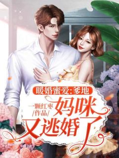 一颗红枣最新小说《暖婚蜜爱：爹地，妈咪又逃婚了！》叶西宁战凌州在线试读