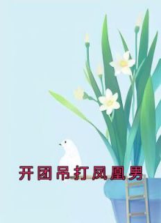 开团吊打凤凰男许安林晓小说精彩章节免费试读
