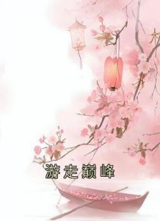 主角是南衣姜诗琪的小说 《游走巅峰》 全文免费试读
